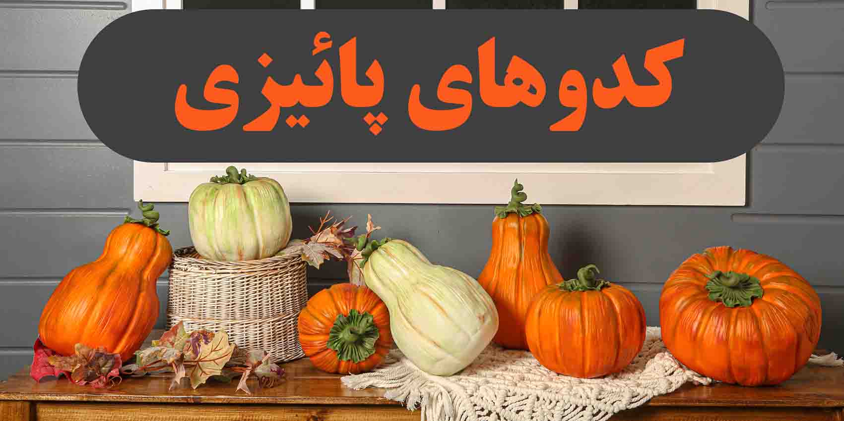 کدو پاییزی